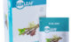 Sunleaf Star Mint Thee